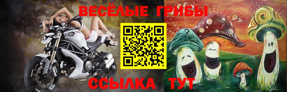 Псилоцибиновые грибы мухоморы  Вход с VPN  Нововоронеж 